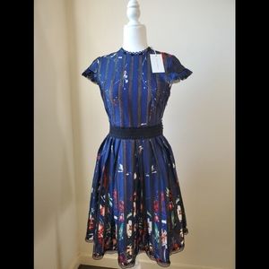 🌼NWT Anthropologie Foxiedox A-line Backless Dress